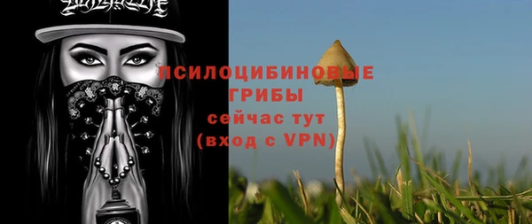 молекула духа Магас