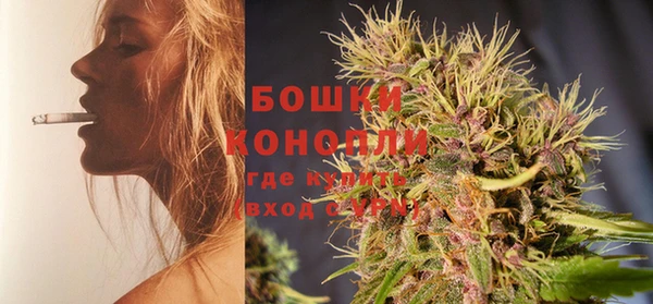 молекула духа Магас