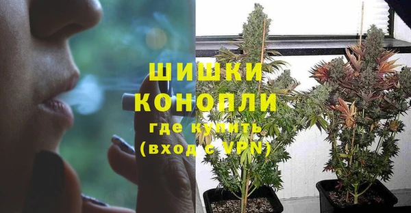 индика Магадан
