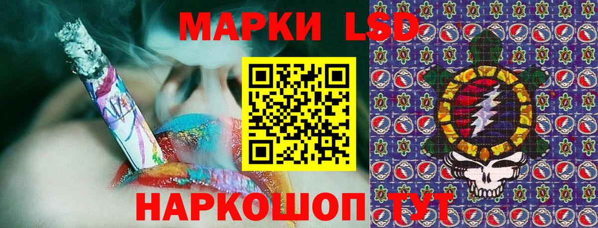Наркотические марки 1,5мг  Наркотические марки  Черняховск  Вход с VPN 