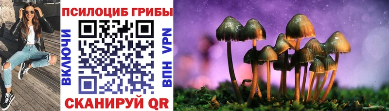 продажа наркотиков  KRAKEN как зайти  Псилоцибиновые грибы ЛСД  Черняховск 