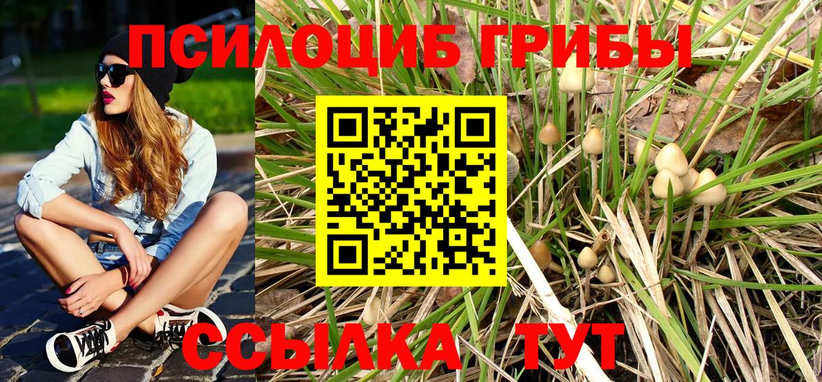 Псилоцибиновые грибы прущие грибы Черняховск