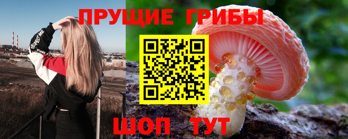 Псилоцибиновые грибы мухоморы  Псилоцибиновые грибы Psilocybine cubensis  Черняховск 