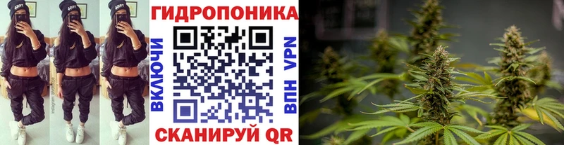 Бошки Шишки семена omg как войти Черняховск